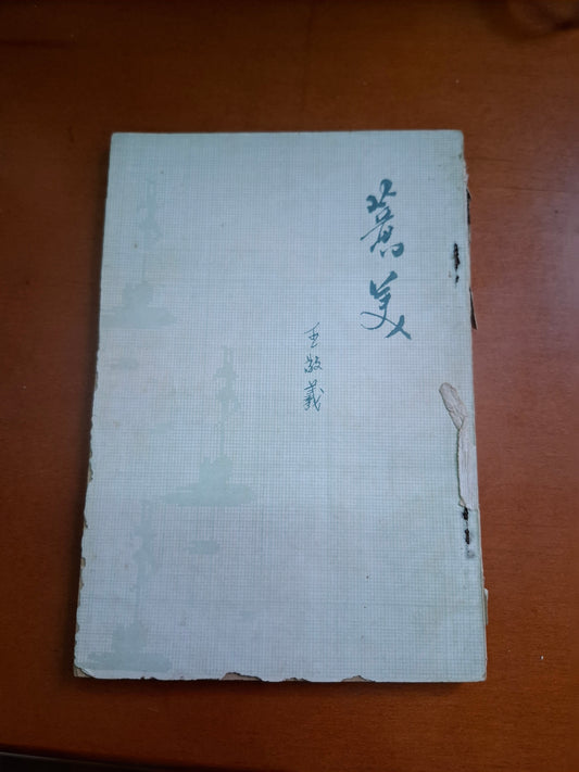 王敬羲 薏美