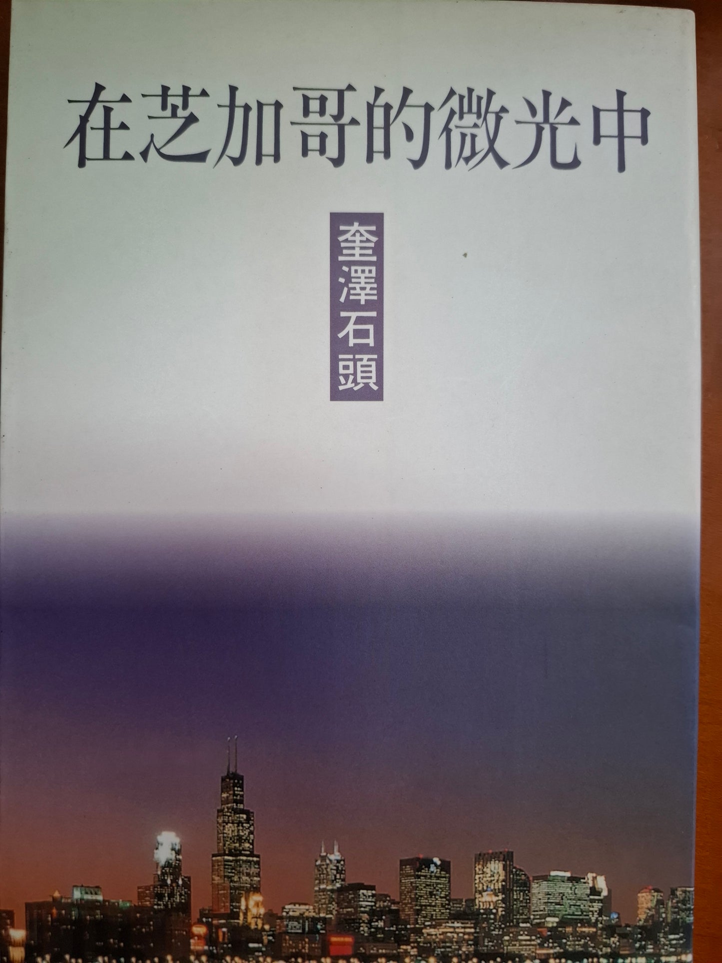 在芝加哥的微光中