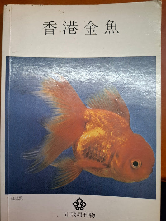 香港金魚
