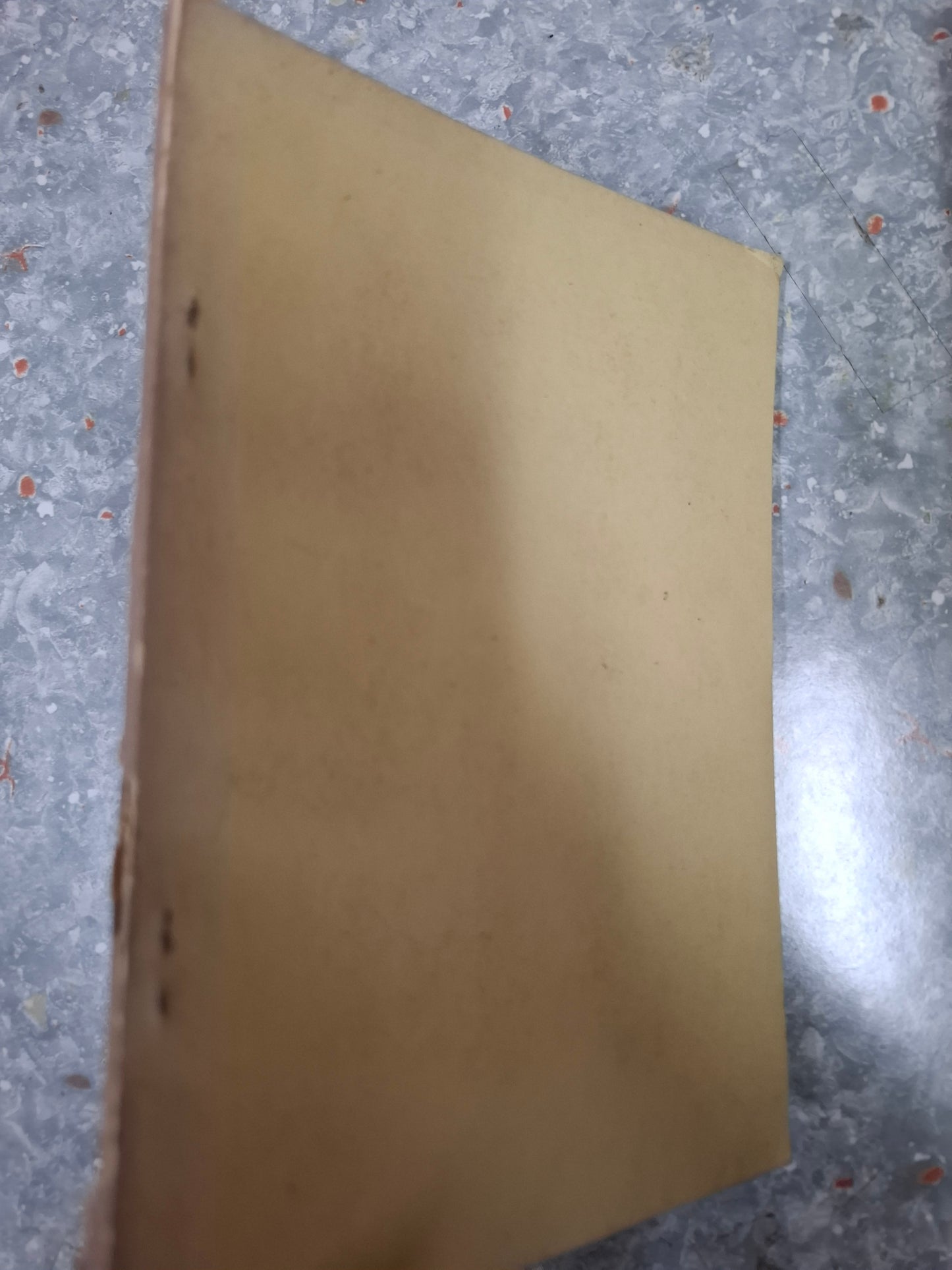 蔣彝《啞行者香港竹枝詞五十首》
