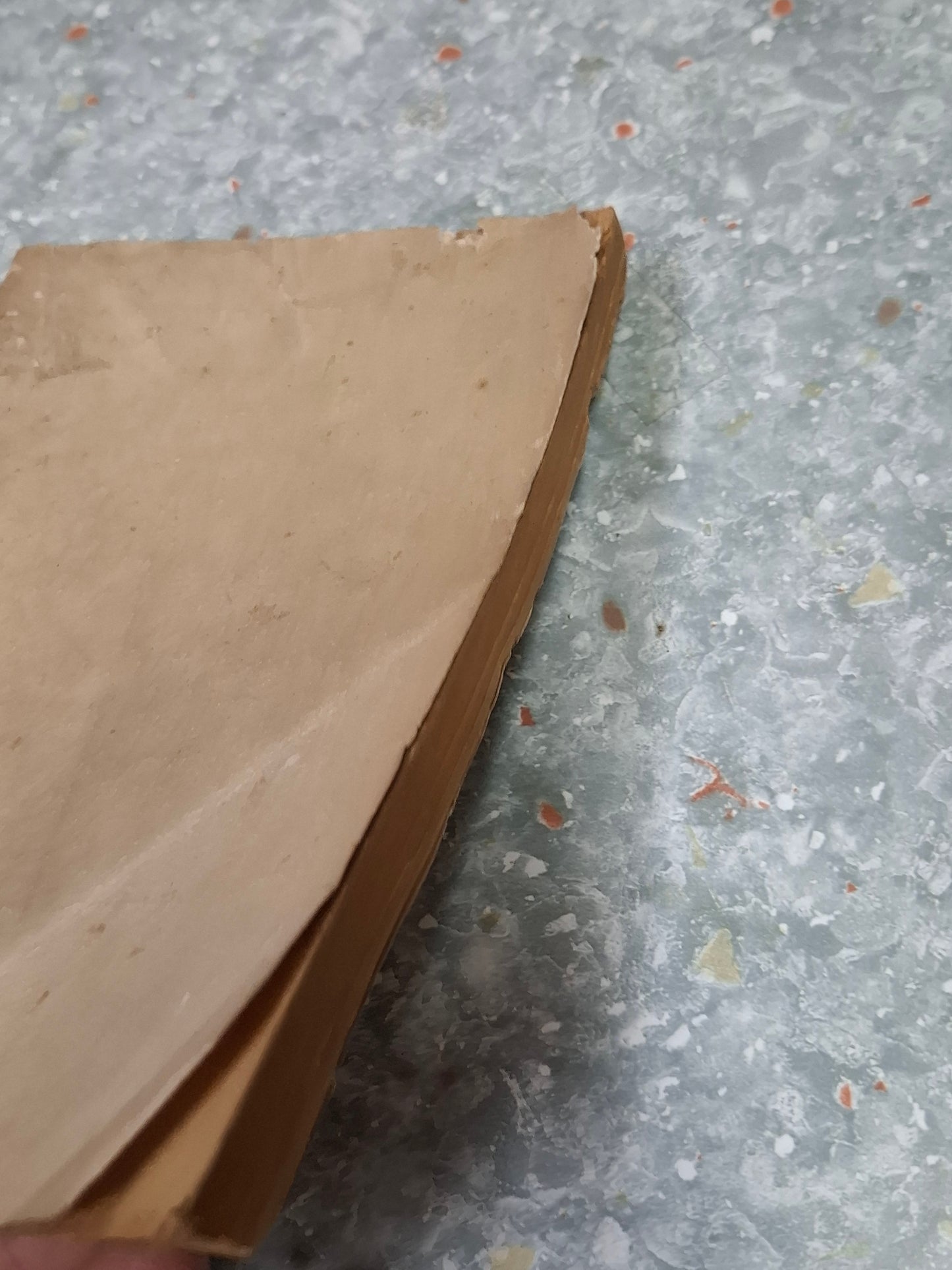 馬博良《第一理想樹》