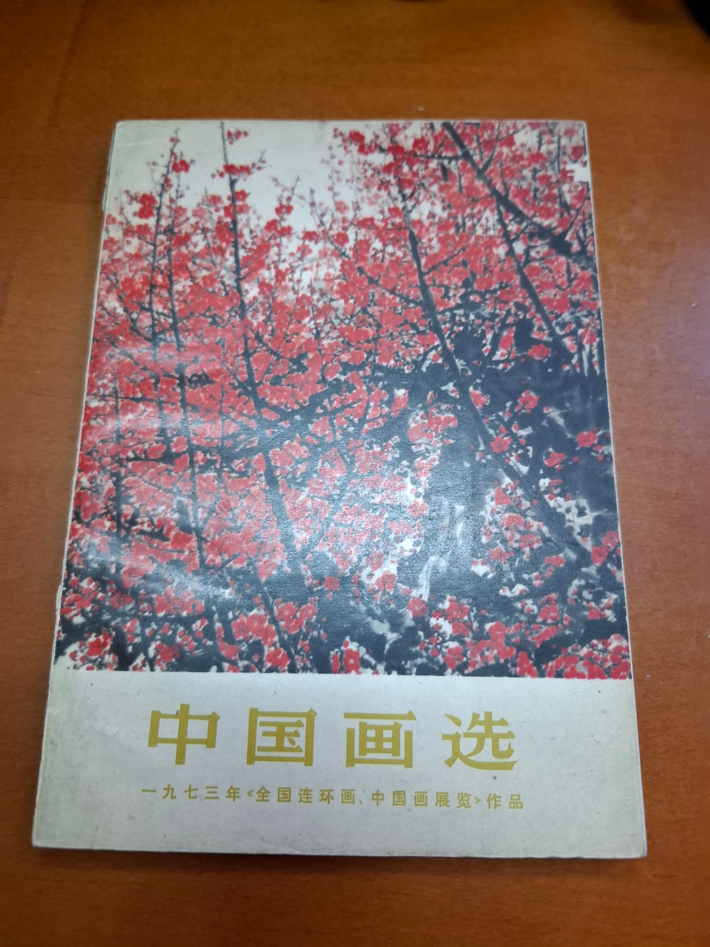中國畫選