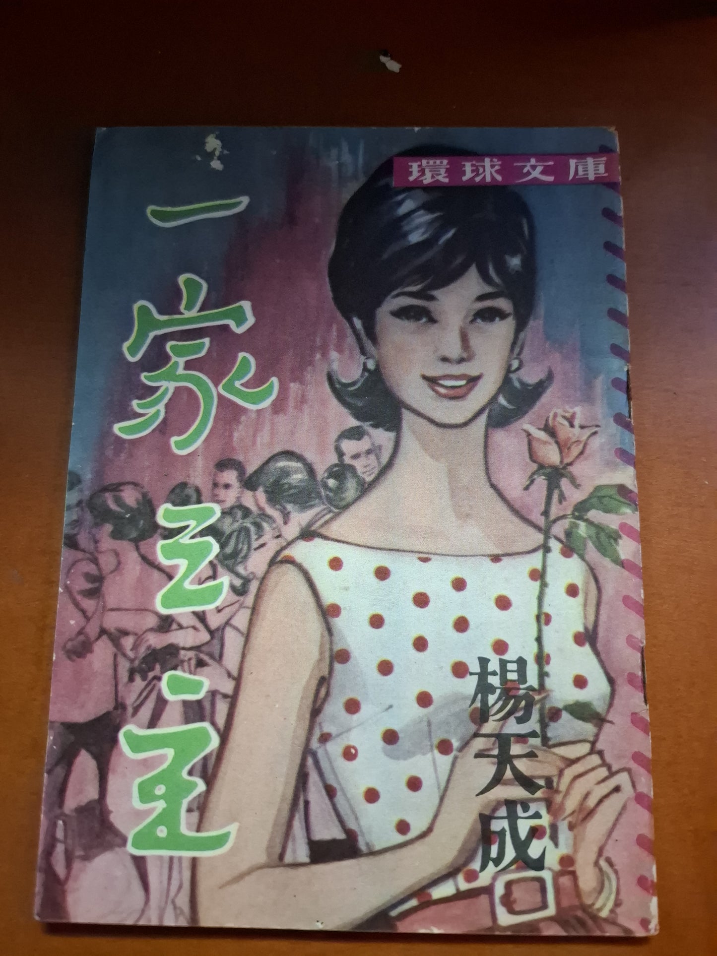 楊天成 一家之主 環球文庫