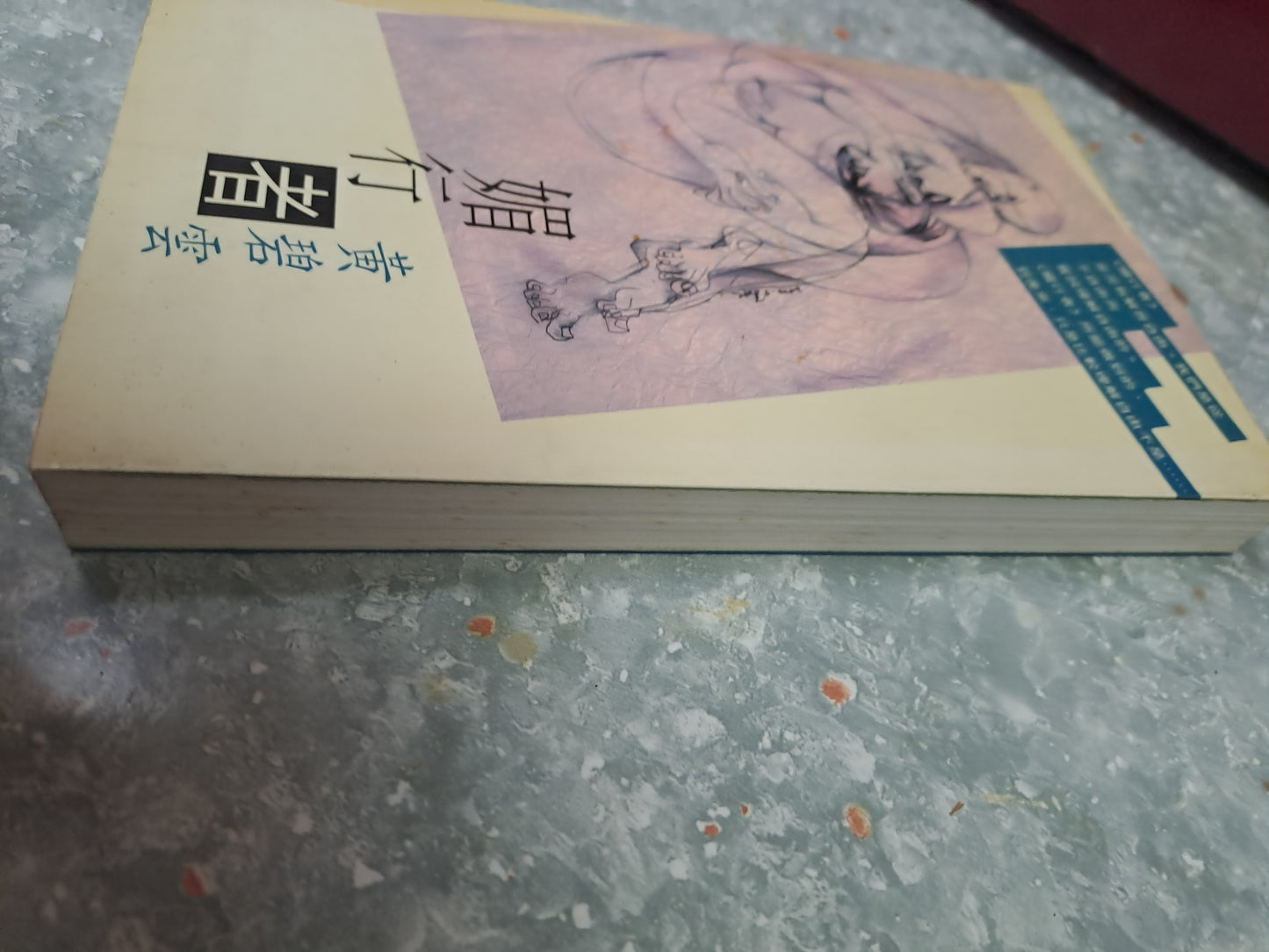 黃碧雲《媚行者》