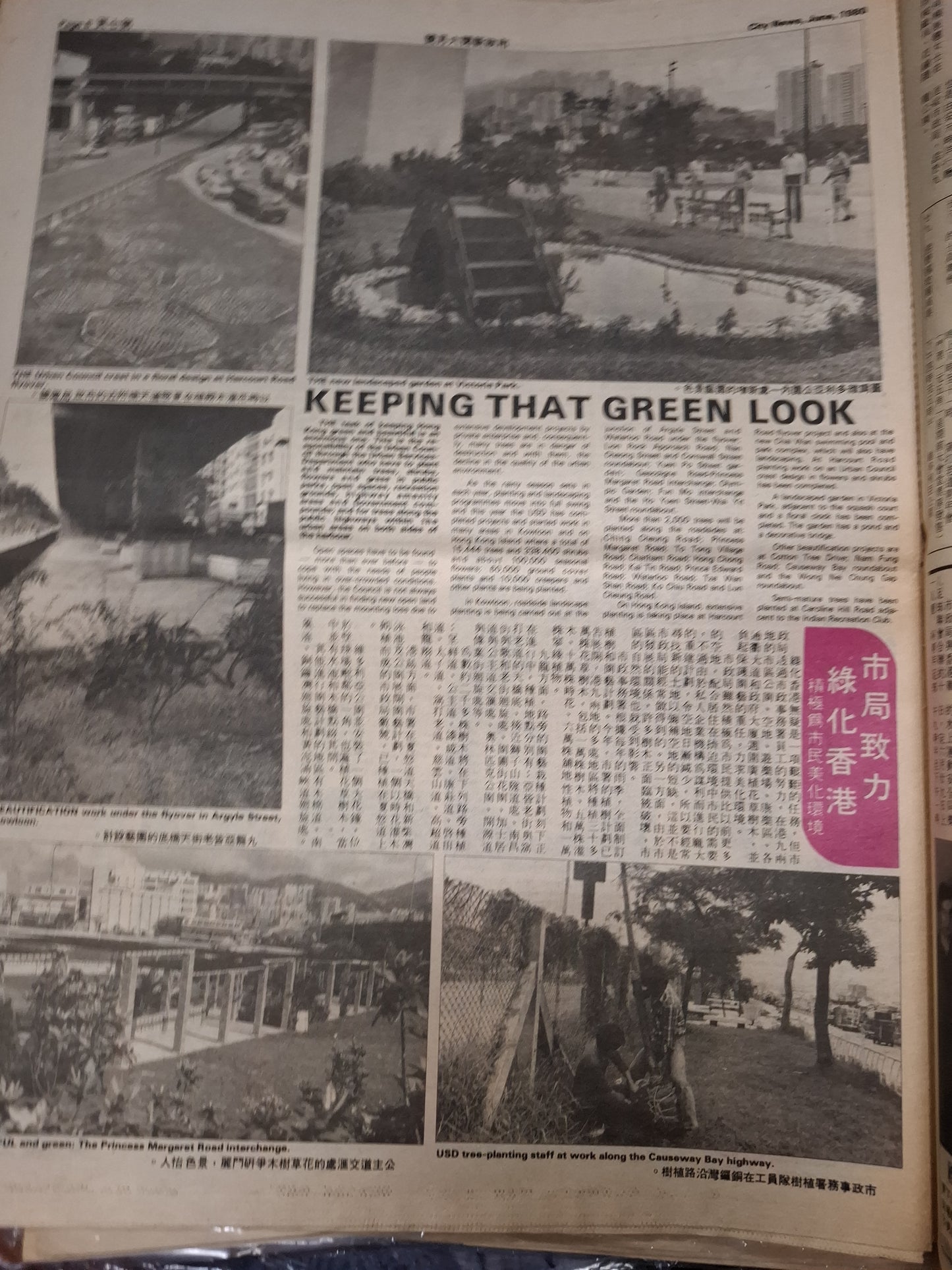 市政新聞 75期 1980年6月