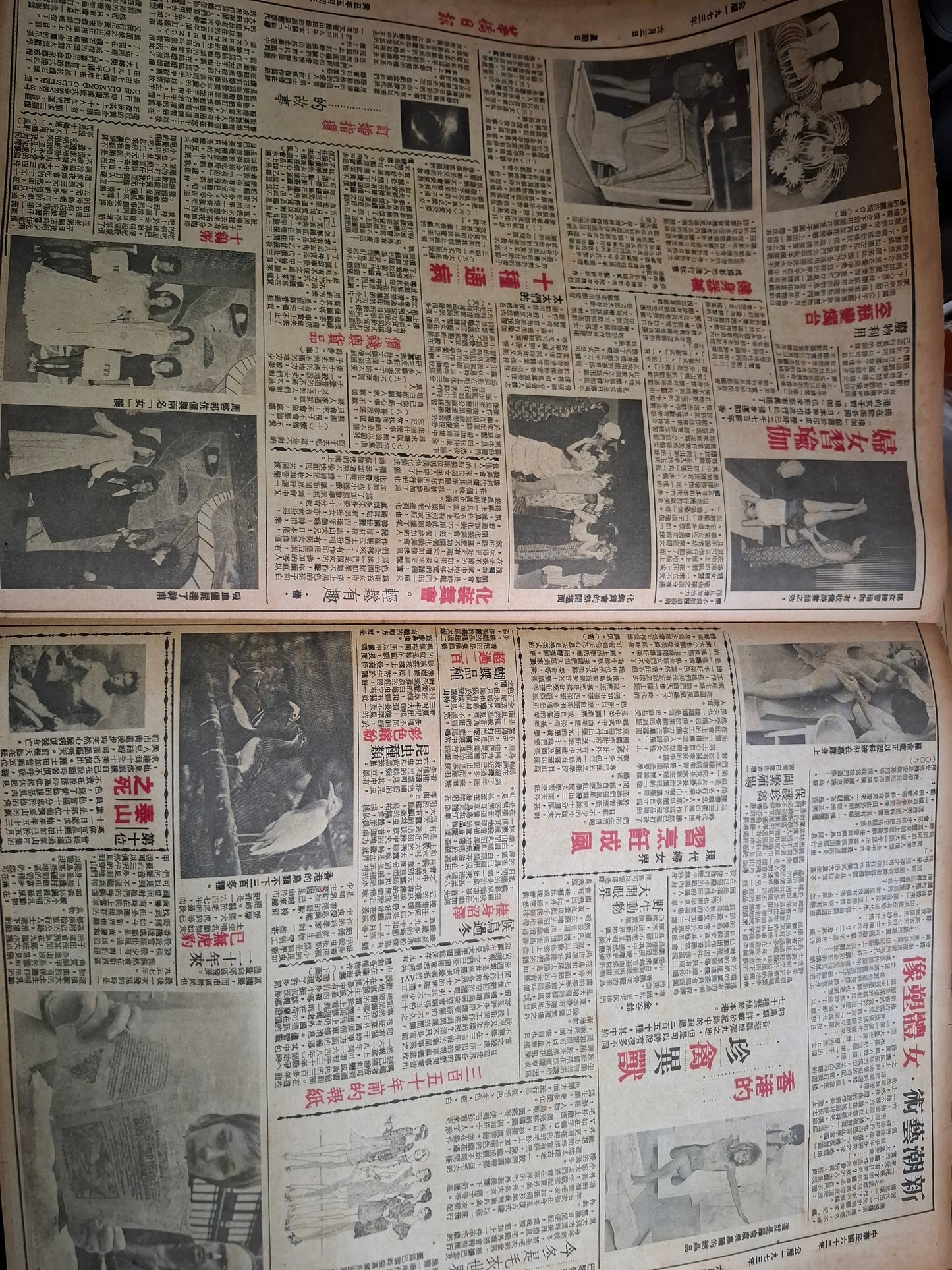 華僑日報1973年6月3日