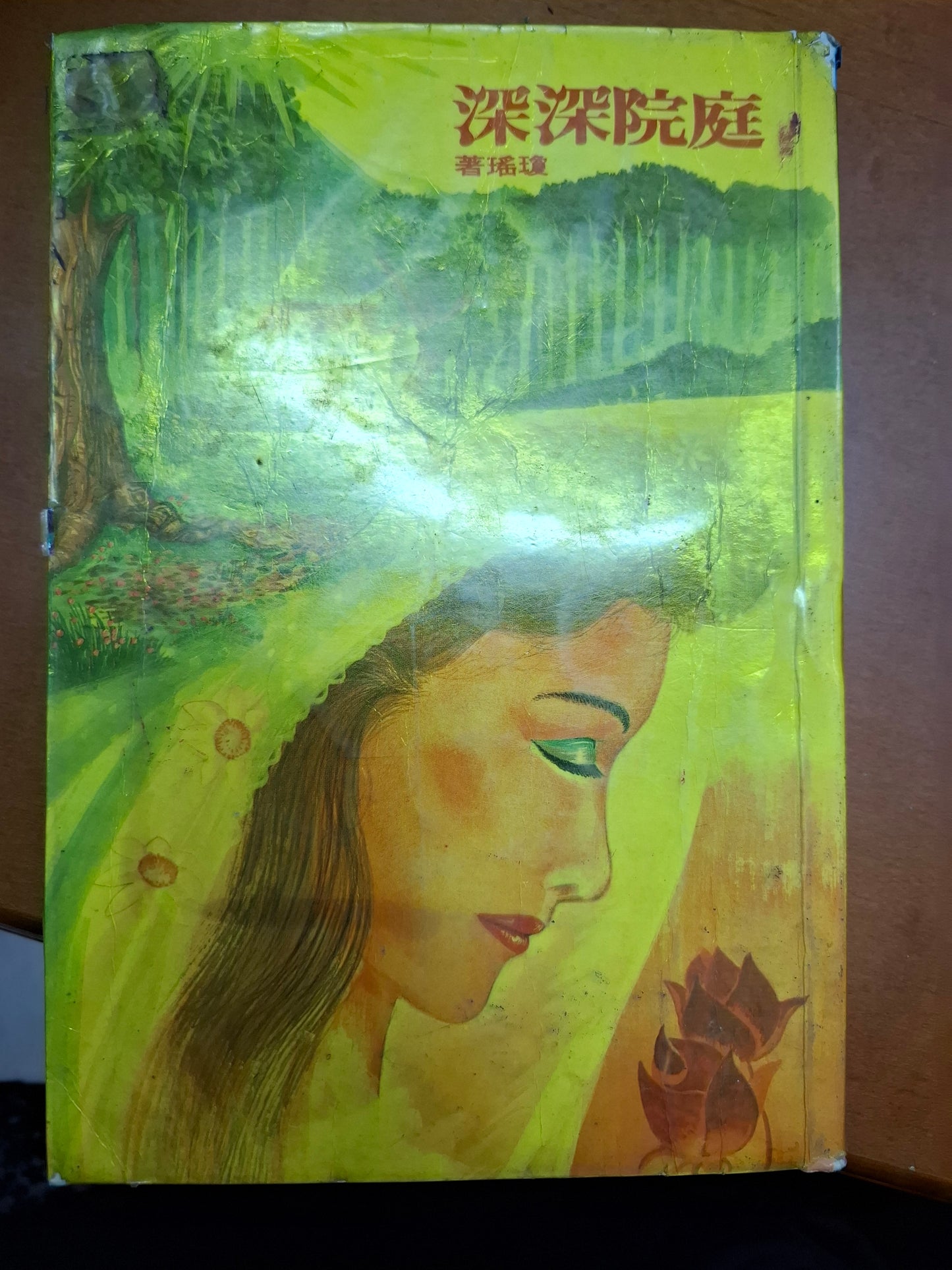 庭院深深 瓊瑤