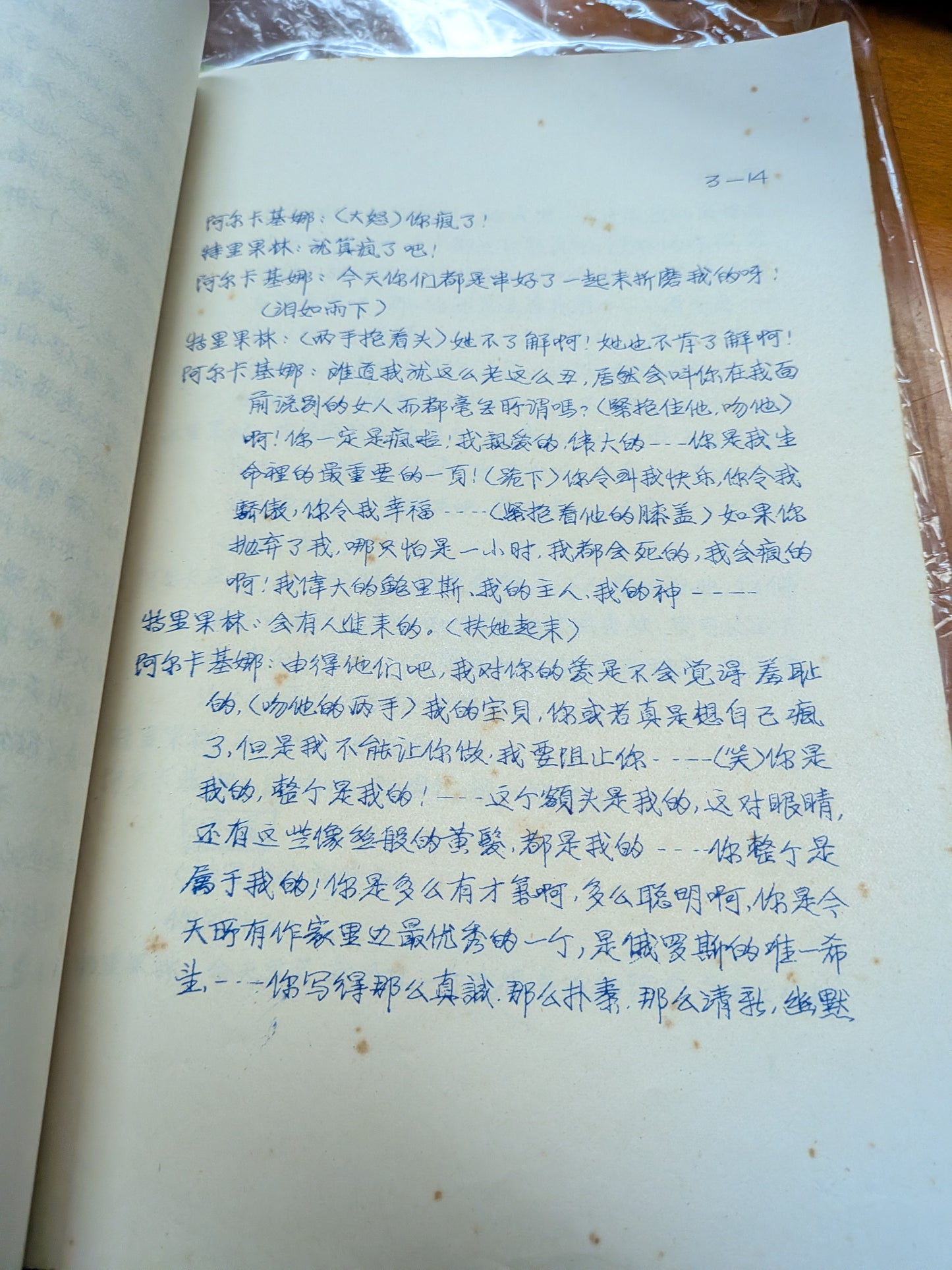 海鷗 周采芹 導演 市政局香港話劇團 劇本