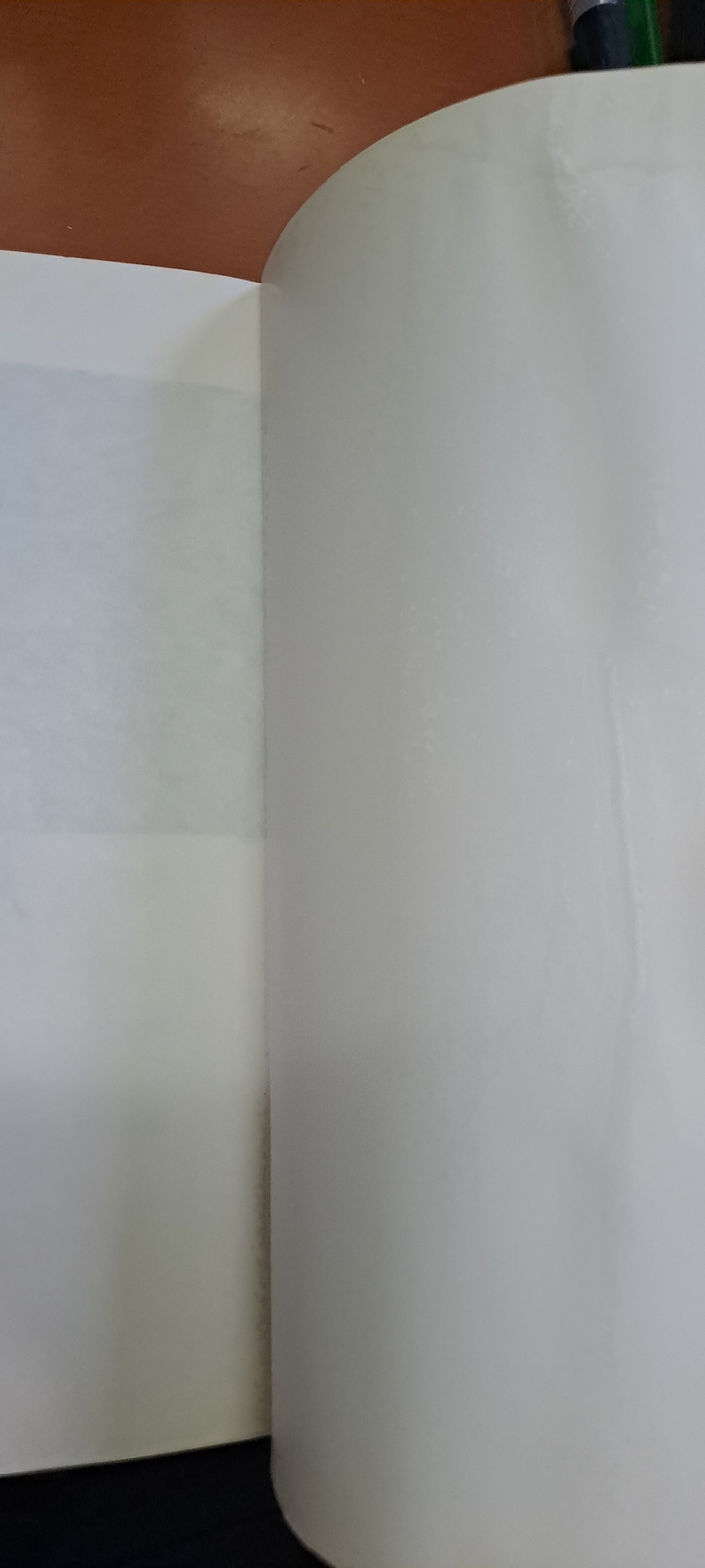 黃碧雲 七種靜默