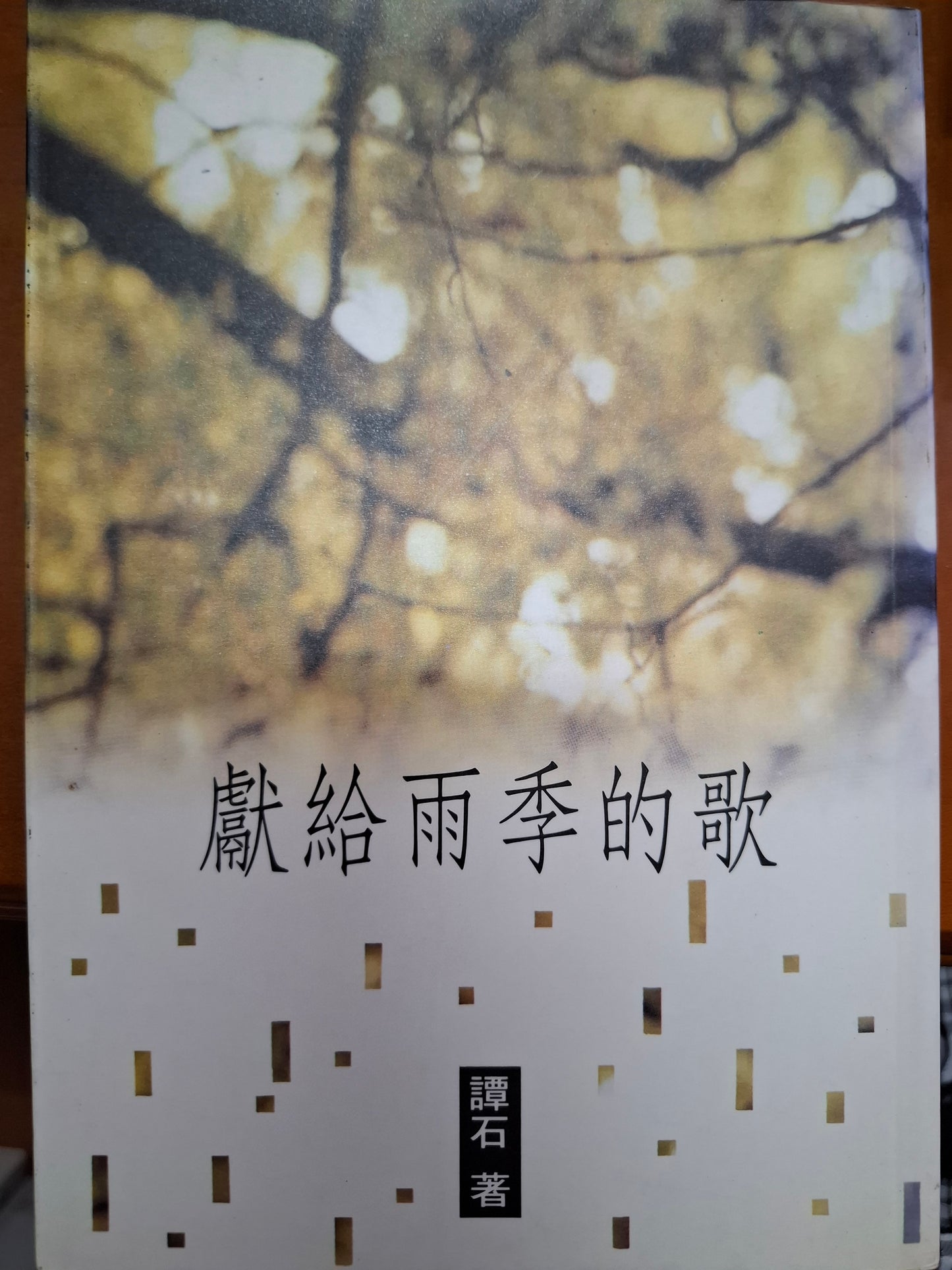 獻給雨季的歌 譚石