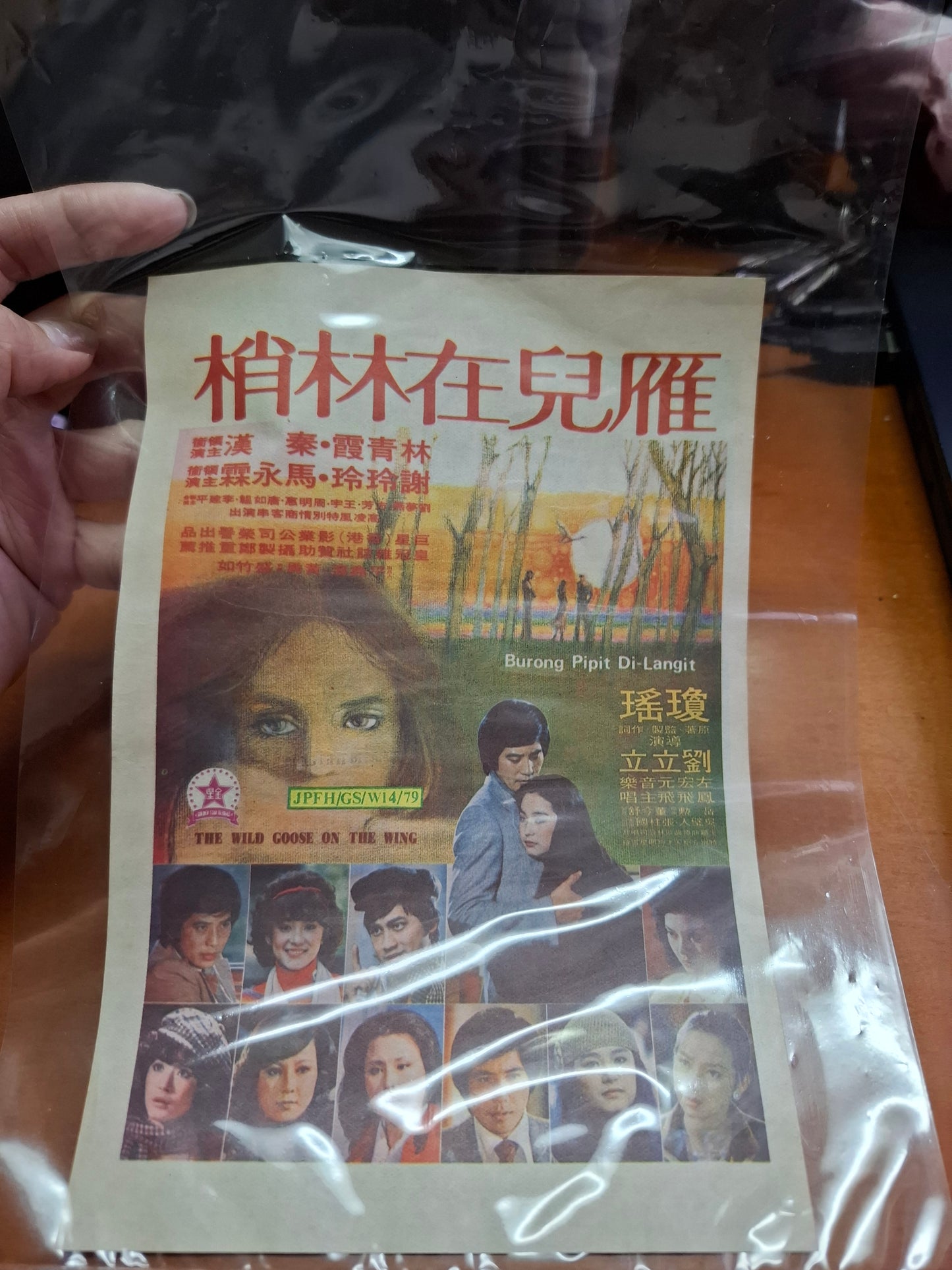 雁兒在林梢 林青霞