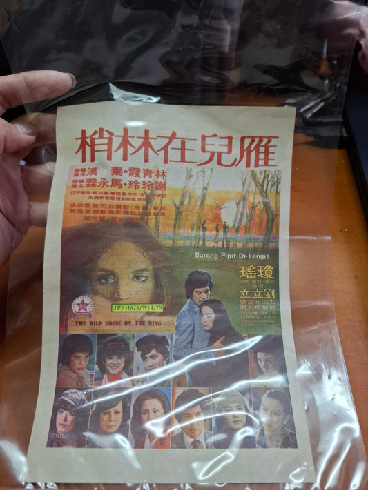 雁兒在林梢 林青霞