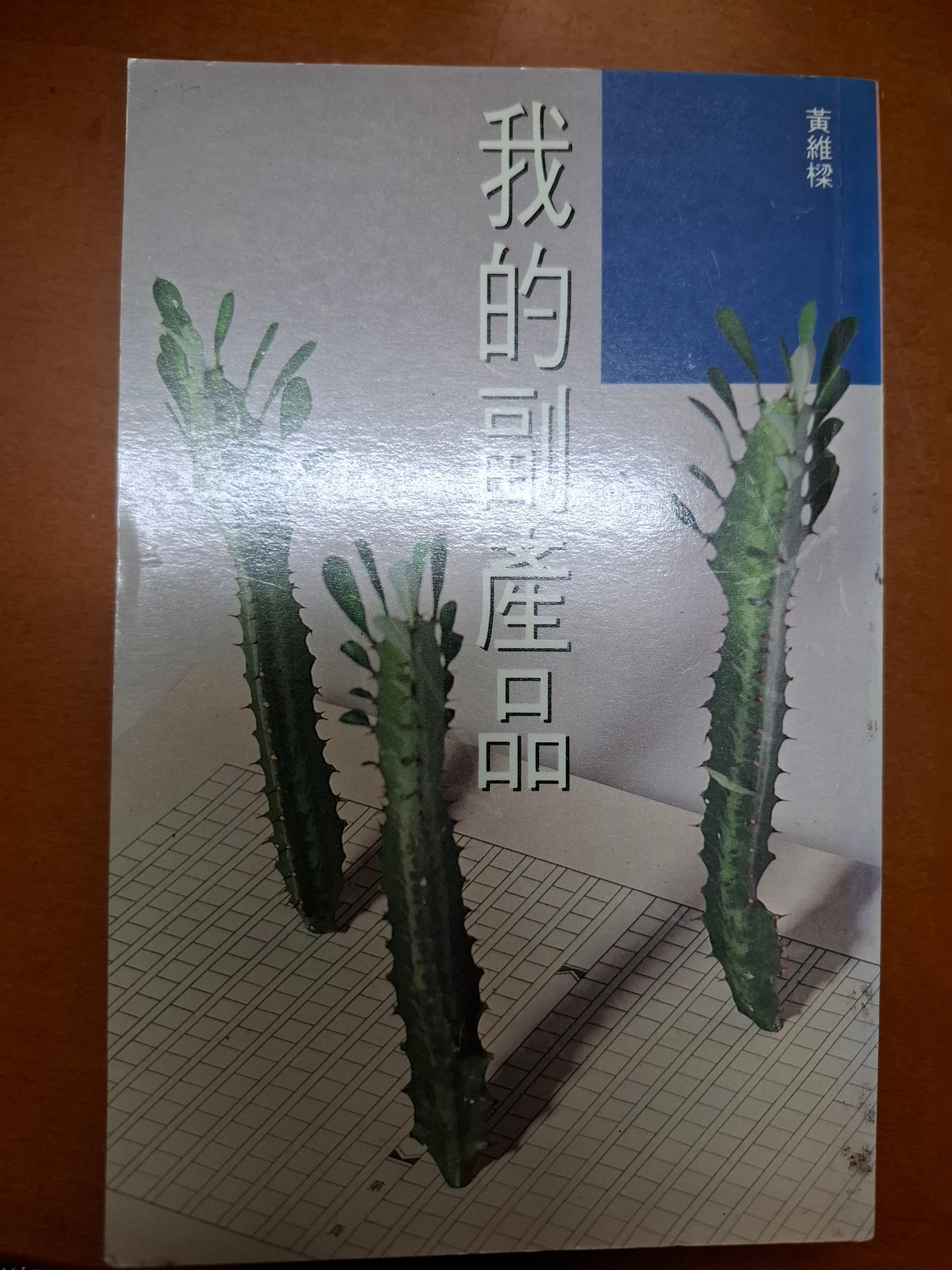 我的副產品 黃維樑