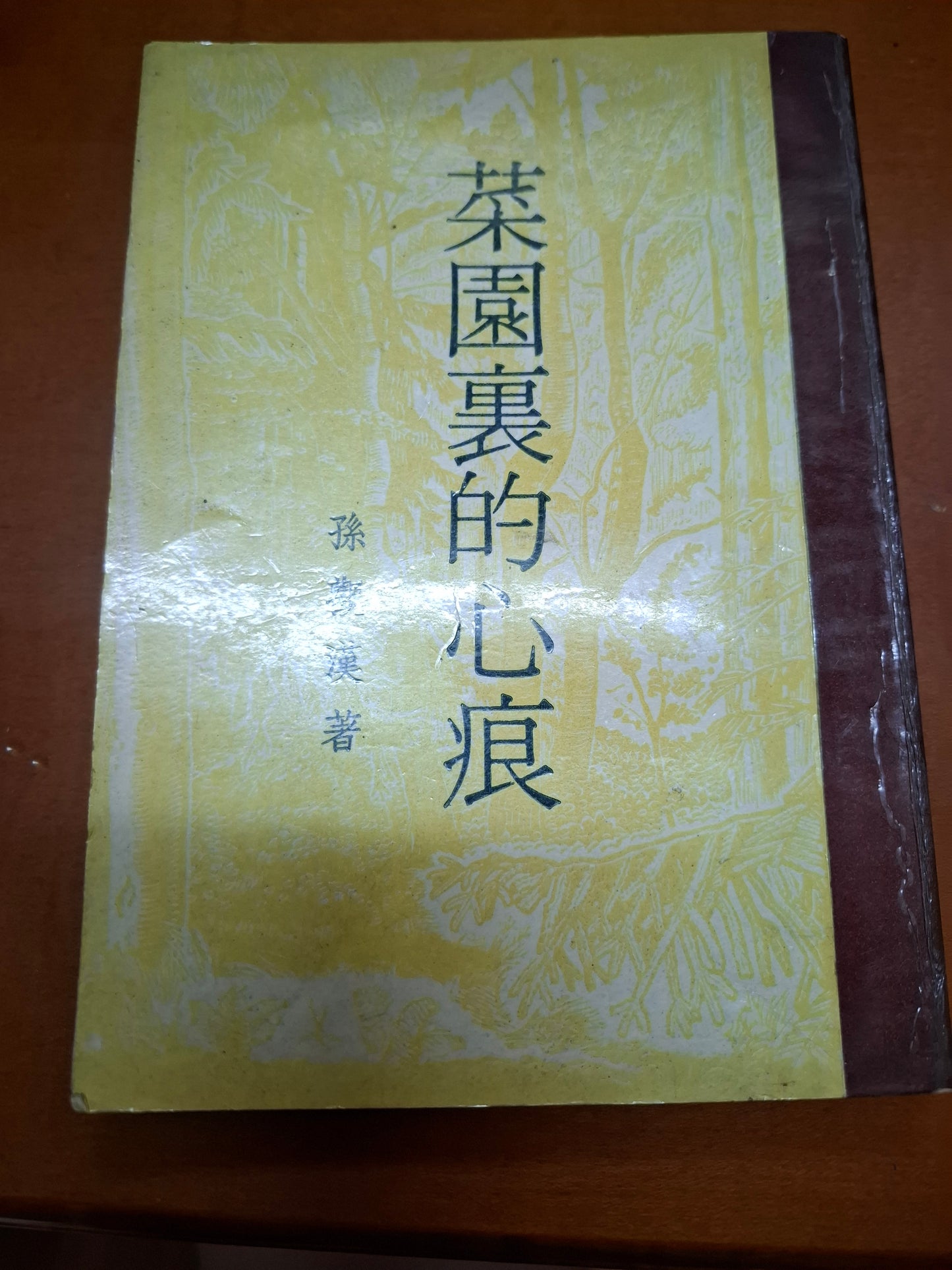 孫觀漢 菜園裏的心痕