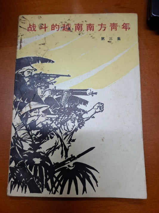 戰鬥的越南南方青年 第三集