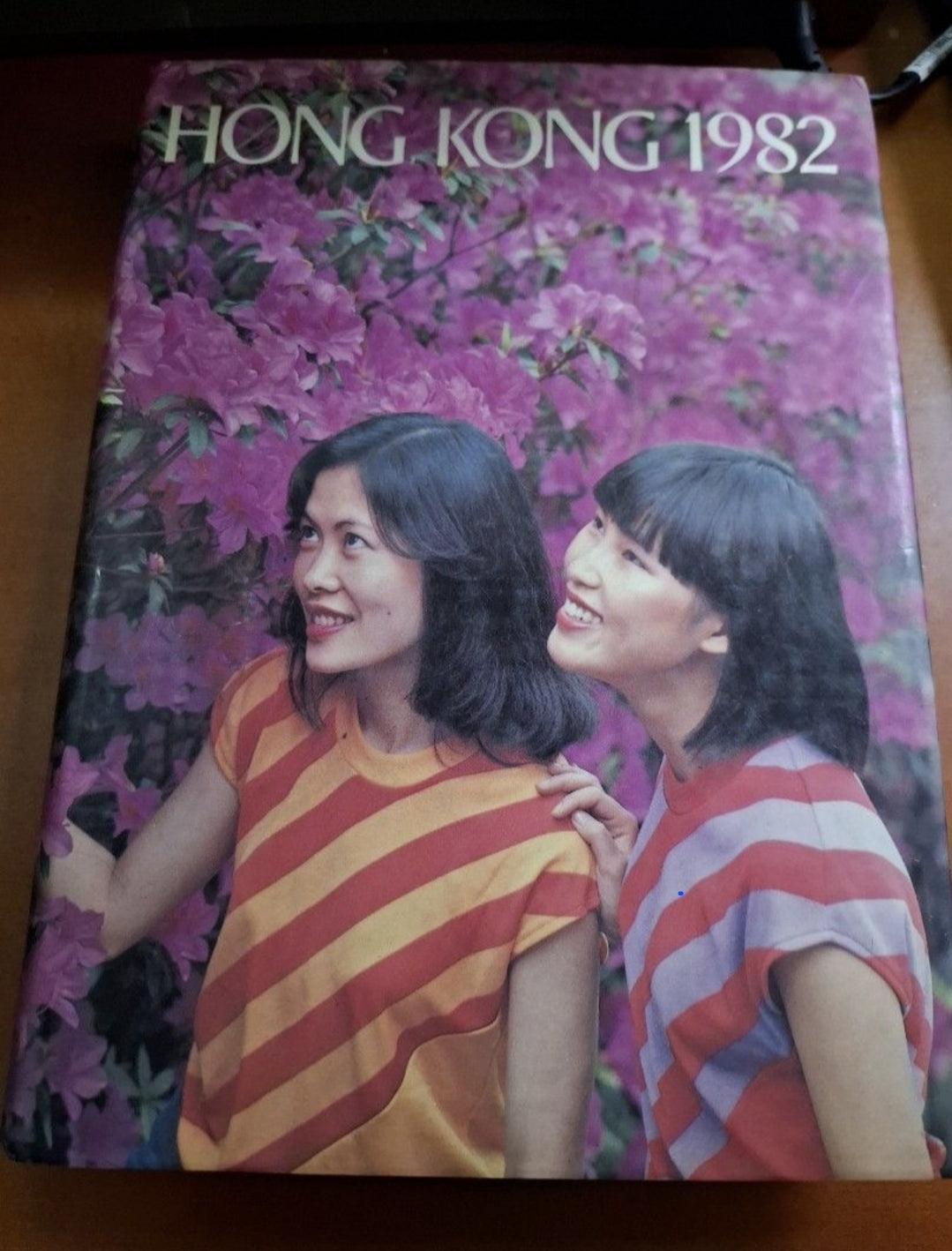 香港年報 1982年