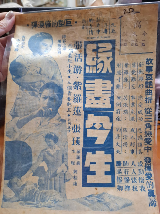 緣盡今生 紫羅蓮