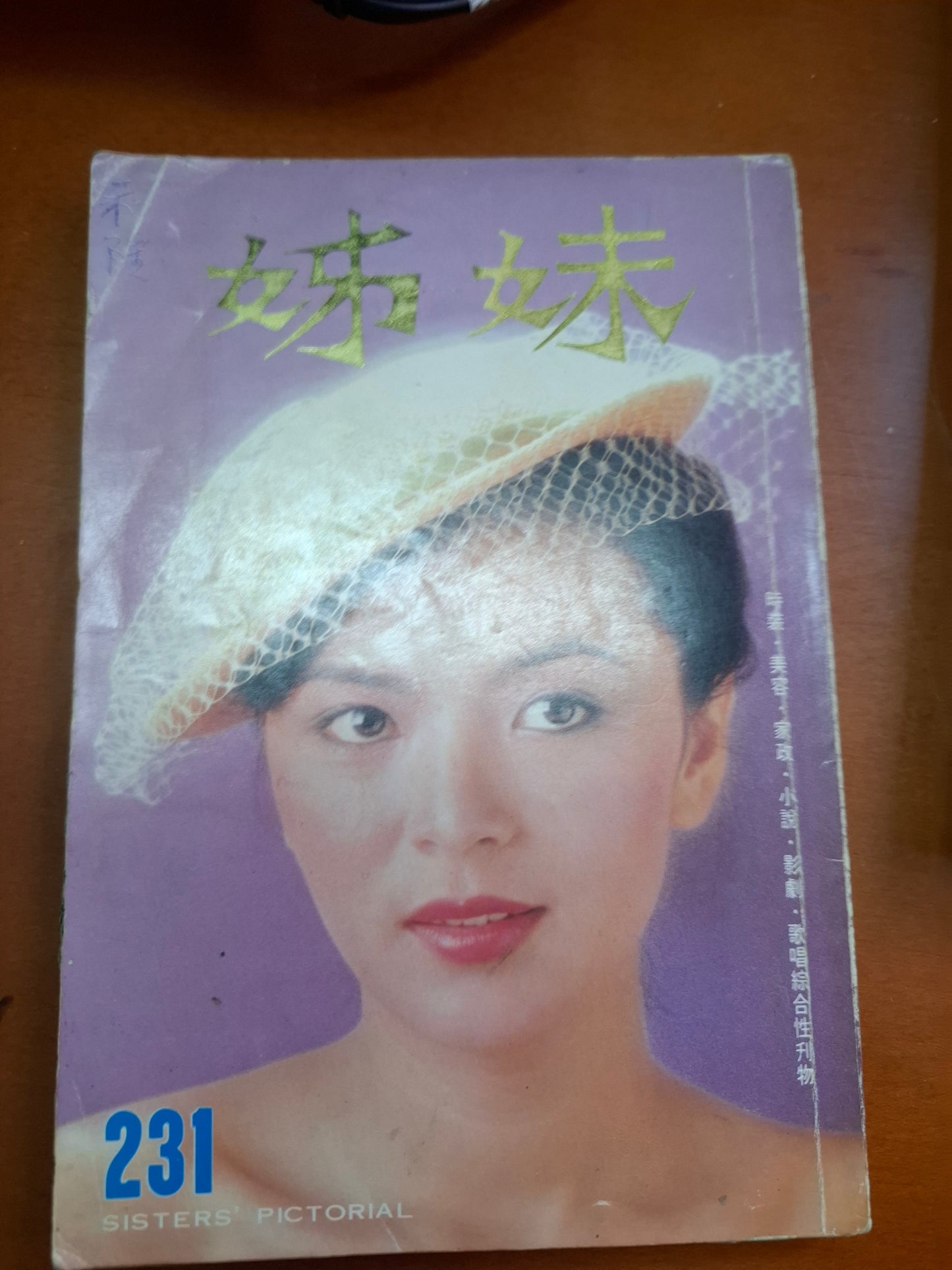 姊妹 231 陳玉蓮