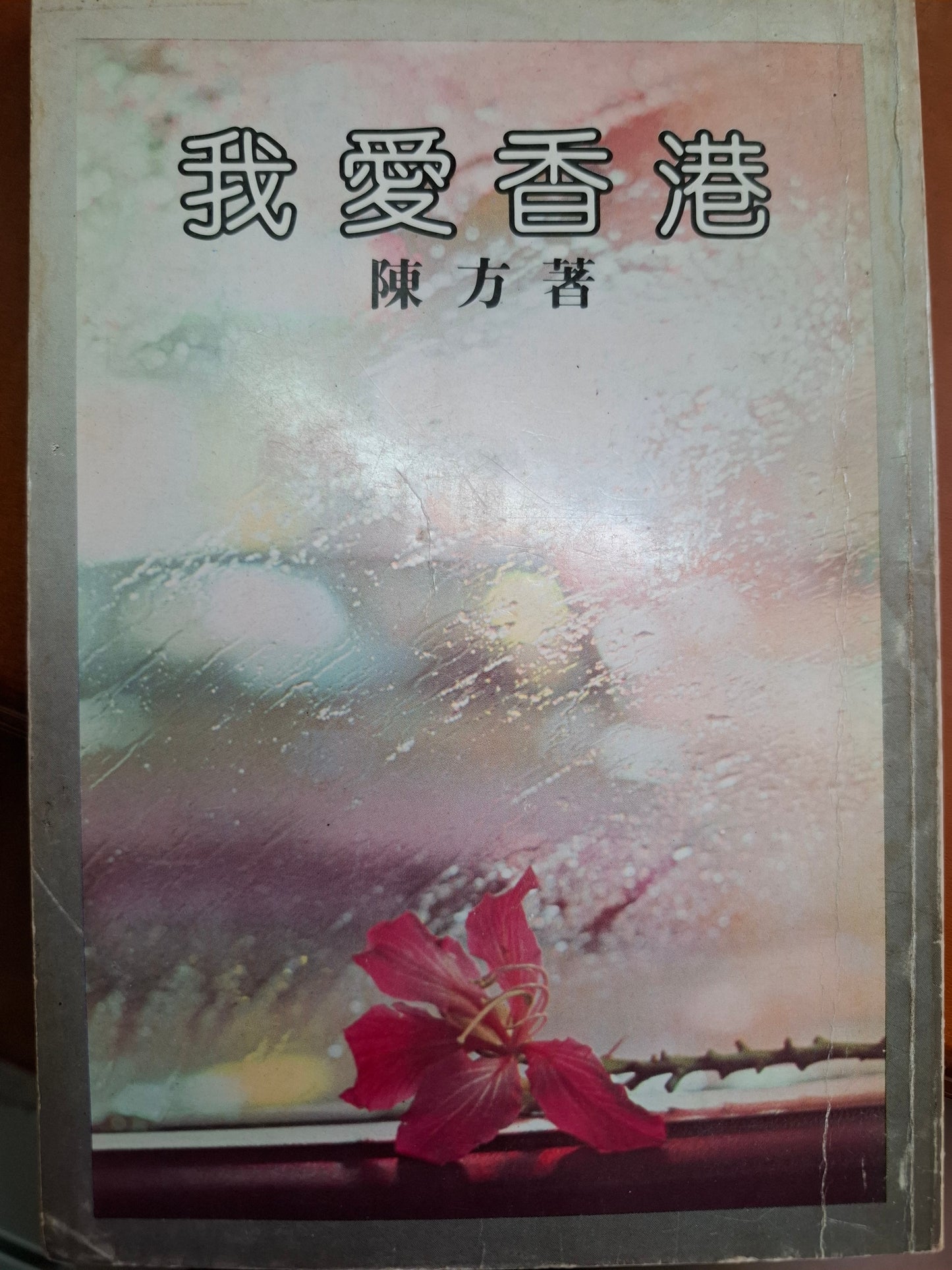 我愛香港 陳方
