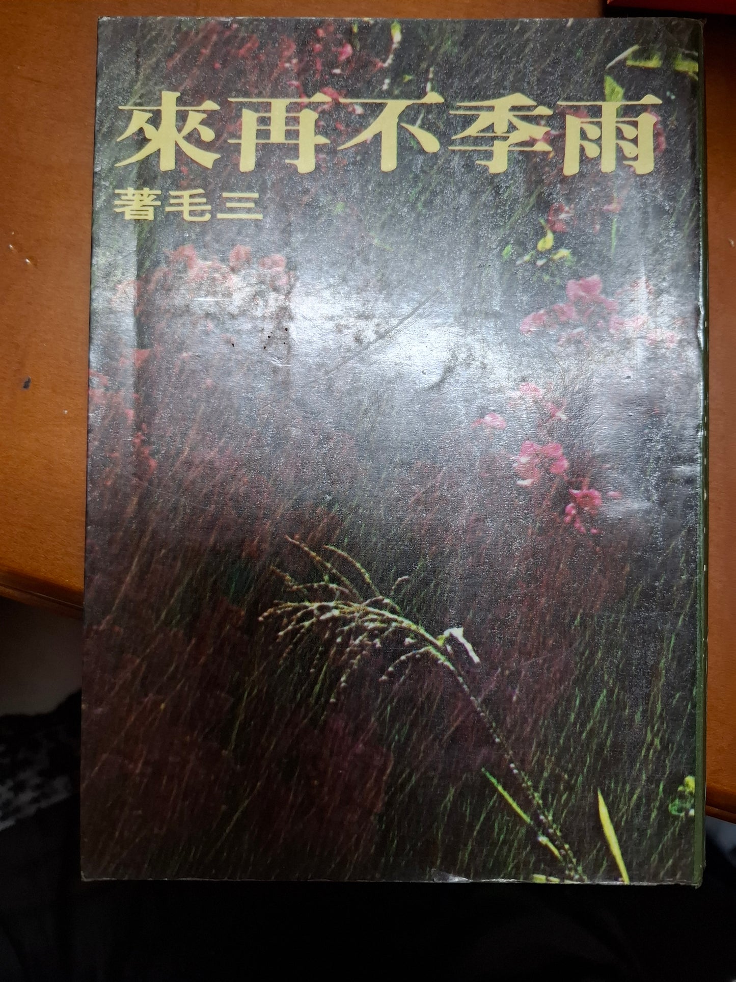 雨季不再來 三毛