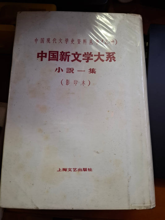 中國現代文學史資料叢書（乙種）中國新文學大系 小說一集（影印本）上海文藝出版社