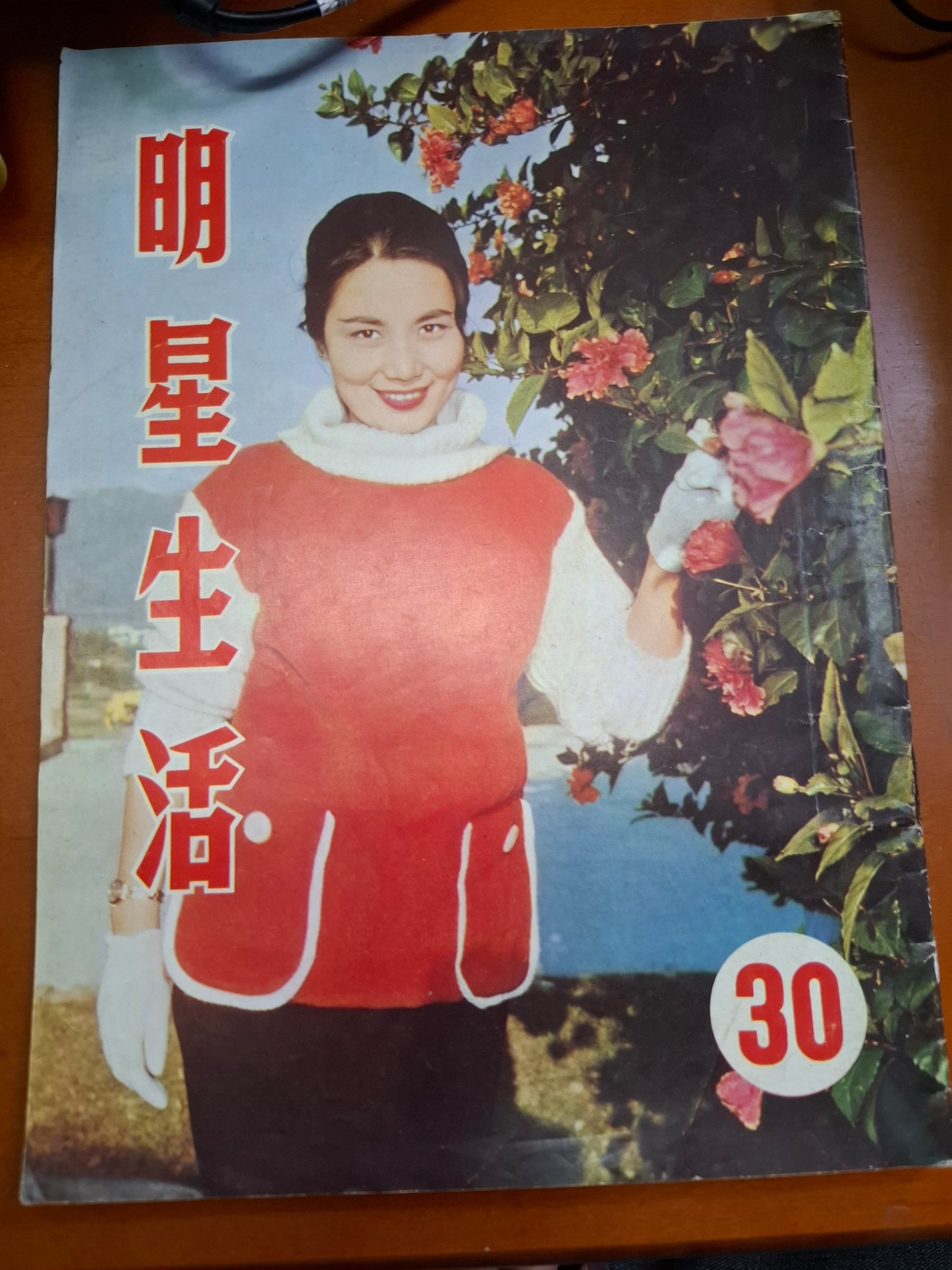 明星生活30期 林黛 林鳳