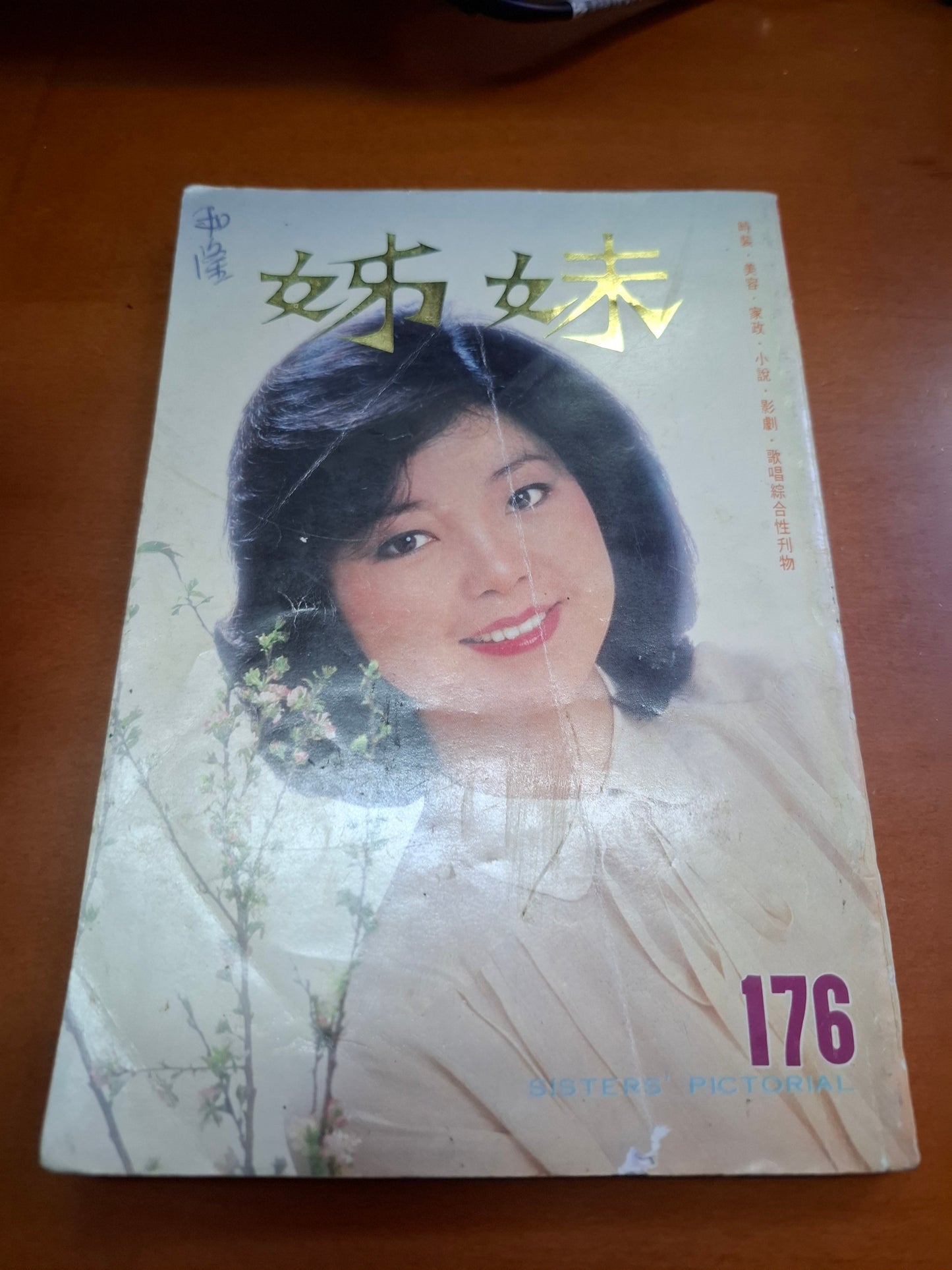 姊妹 176 鄧麗君